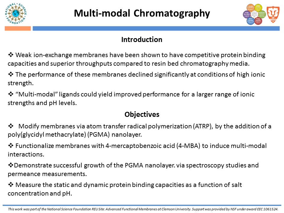 Introduction and Objectives (Multi-modal Chromatography)