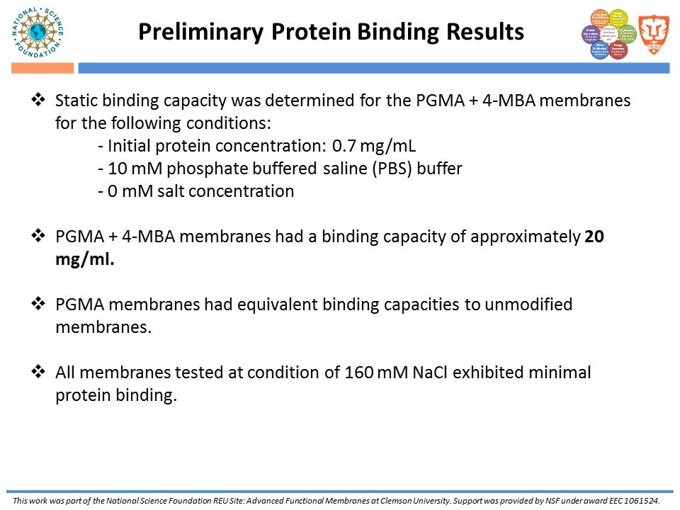 Static Binding Results (Multi-modal Chromatography)