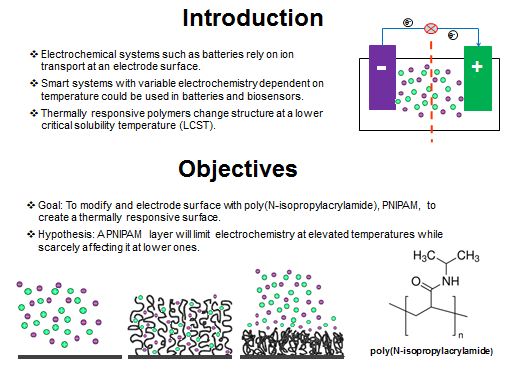 Introduction and Objectives