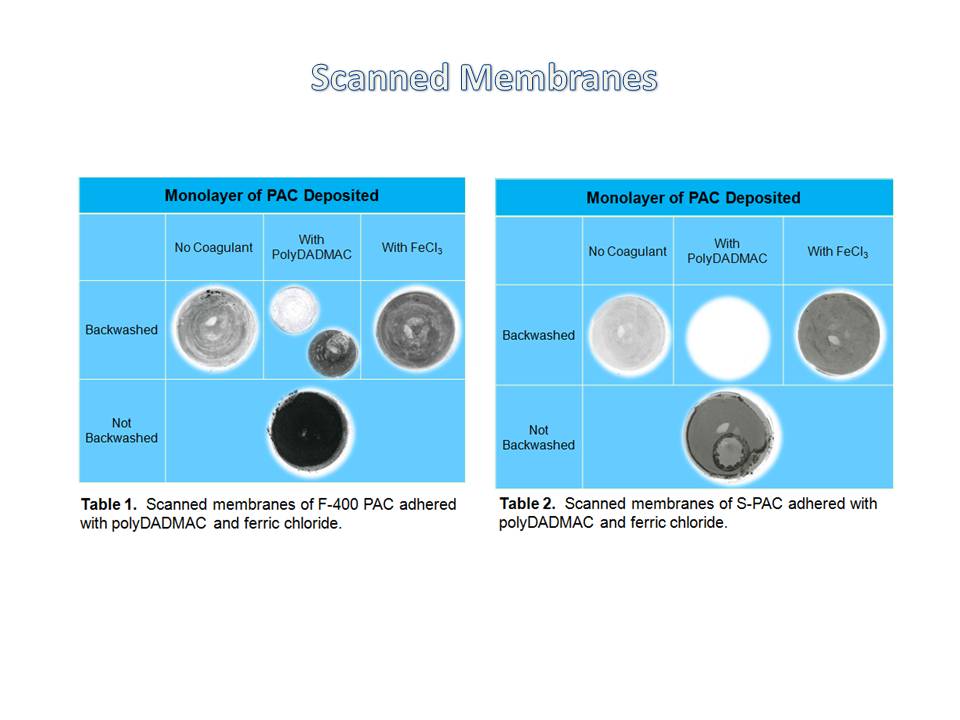 Powdered Activated Carbon on Ultrafiltration Membranes