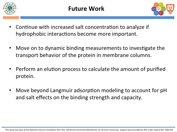 Future Work